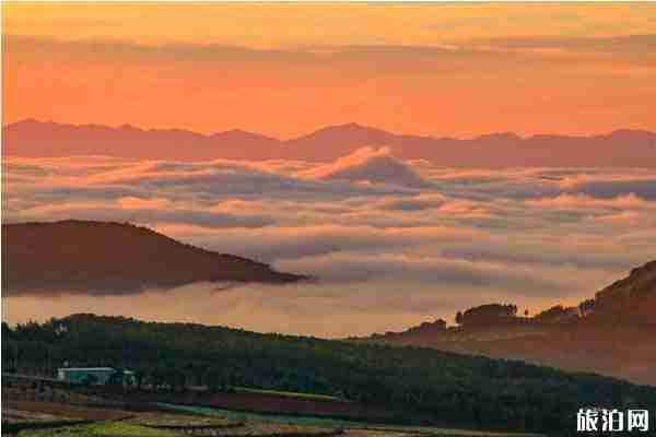 云南云海哪里最漂亮