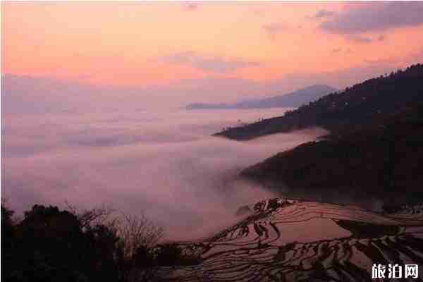 云南云海哪里最漂亮