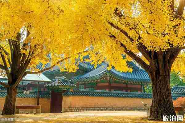 青城山都江堰景區免費開放日門票怎么預約領取