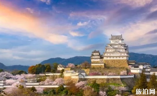 日本哪些地方可以看櫻花 日本櫻花地推薦