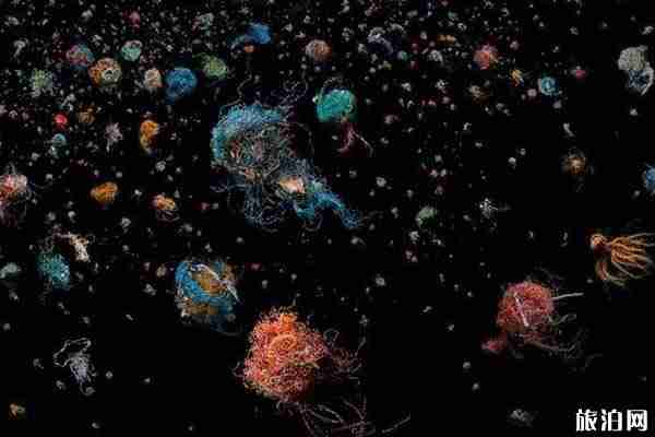 2019年上海12月份展會信息匯總