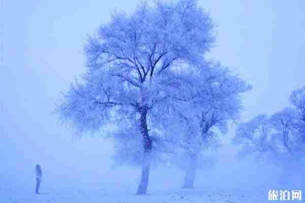 南方人冬天去哈爾濱去要注意些什么
