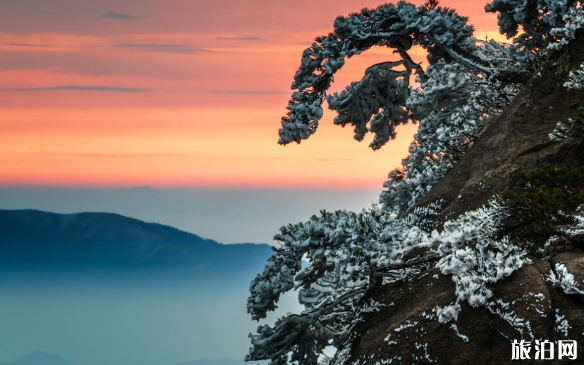 國內冬天旅游推薦地  2019年冬天應該去哪里旅游呢