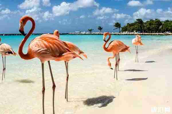 國外網紅景點推薦 國外有哪些網紅景點打卡地