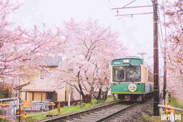 日本最美十大景點(diǎn)+交通攻略
