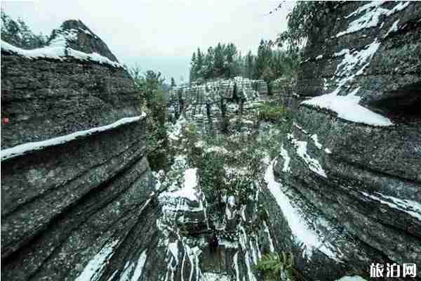 2019年12月31日恩施梭布埡石林免費 恩施梭布埡石林旅游攻略