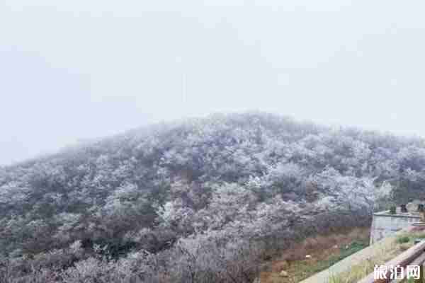 2019-2020浙江下雪了嗎 浙江哪里看雪比較好