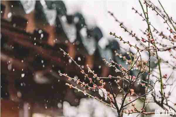 漢十高鐵票價(jià)+路線+旅游優(yōu)惠政策