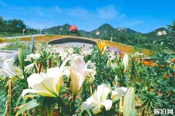 青島世博園景區年卡 票價+包含服務