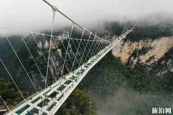 張家界高鐵專列開通 張家界系列景區免票