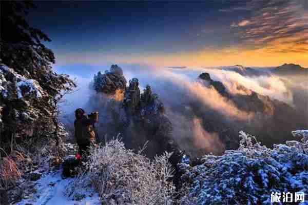 張家界高鐵專列開通 張家界系列景區免票
