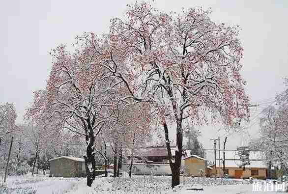 浙江適合看雪的地方推薦 浙江適合看雪的地方推薦
