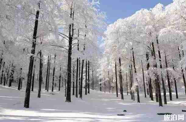 浙江適合看雪的地方推薦 浙江適合看雪的地方推薦