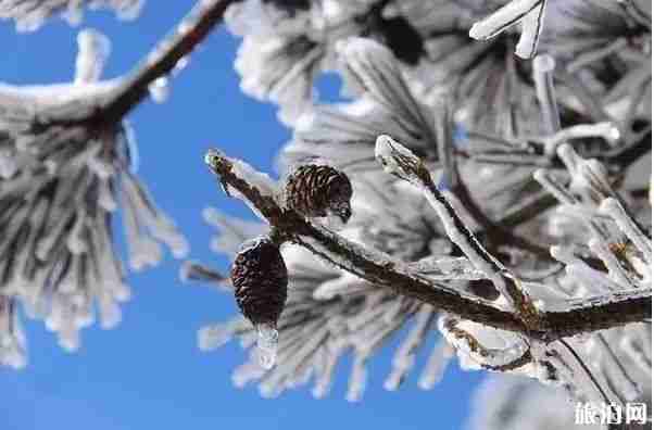 浙江適合看雪的地方推薦 浙江適合看雪的地方推薦
