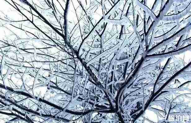 浙江適合看雪的地方推薦 浙江適合看雪的地方推薦