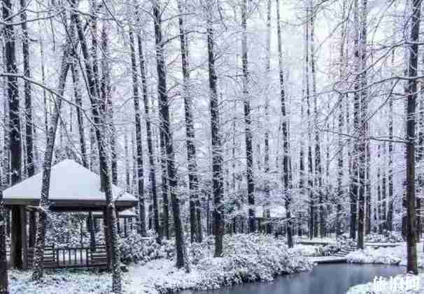 浙江適合看雪的地方推薦 浙江適合看雪的地方推薦