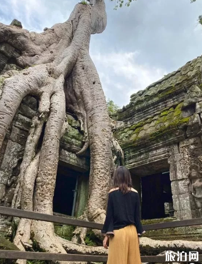 吳哥窟景點推薦 吳哥窟有哪些景點