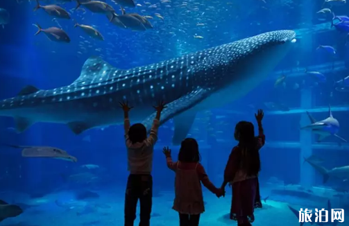 大阪親子游推薦 大阪哪些地方適合親子游