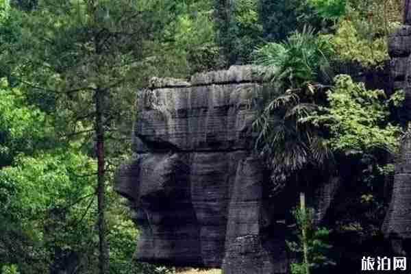 2020元旦恩施旅游攻略