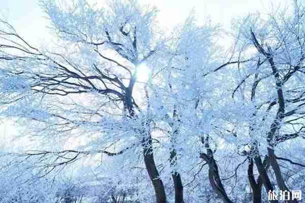 廬山霧凇一般什么時候 南方哪里可以看雪 廬山霧凇一般什么時候 南方哪里可以看雪