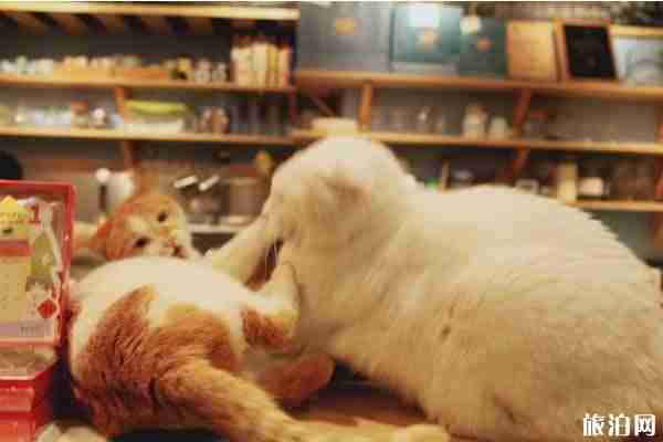 周莊網(wǎng)紅景點推薦