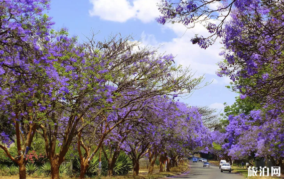 2019年有哪些值得一去的旅游國家