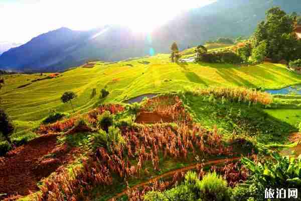 云南元陽梯田景點(diǎn)介紹