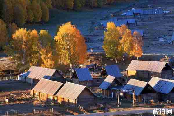 臺灣有哪些著名的景點和美食
