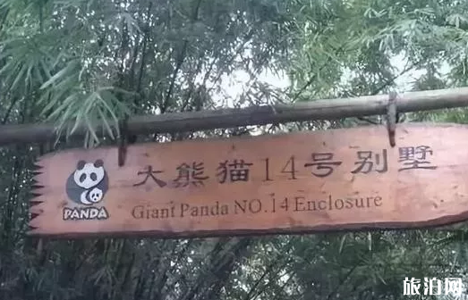 國內冬天哪些地方適合親子游