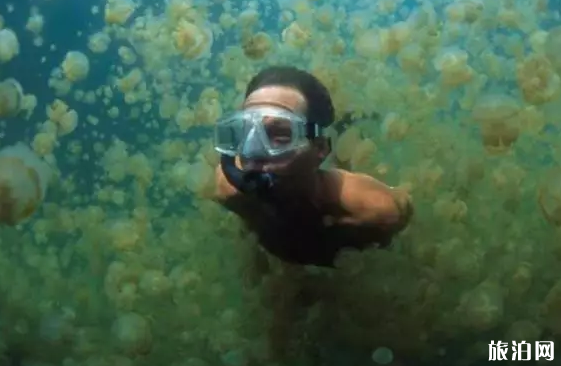 帕勞景點推薦 帕勞有哪些景點
