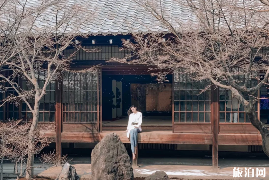 日本京都有哪些網紅拍照打卡地點 日本京都有哪些網紅拍照打卡地點