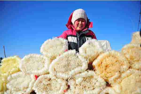 北京京郊大集的時間 北京京郊大集的時間