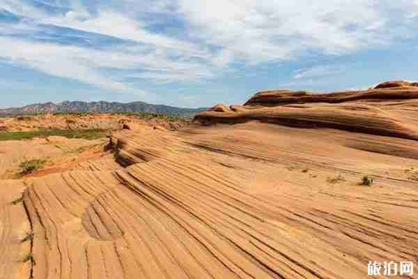 靖邊波浪谷旅游指南 靖邊波浪谷旅游指南