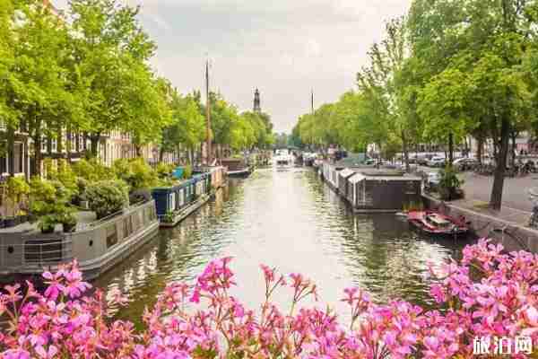 阿姆斯特丹博物館推薦 阿姆斯特丹有哪些特色博物館