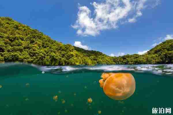 全球最美的湖在哪個國家