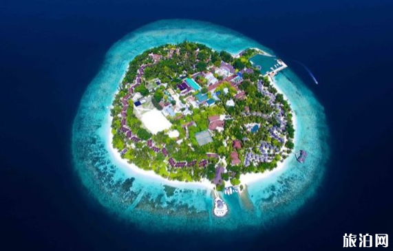 馬爾代夫哪個島性價比最高 馬爾代夫省錢攻略