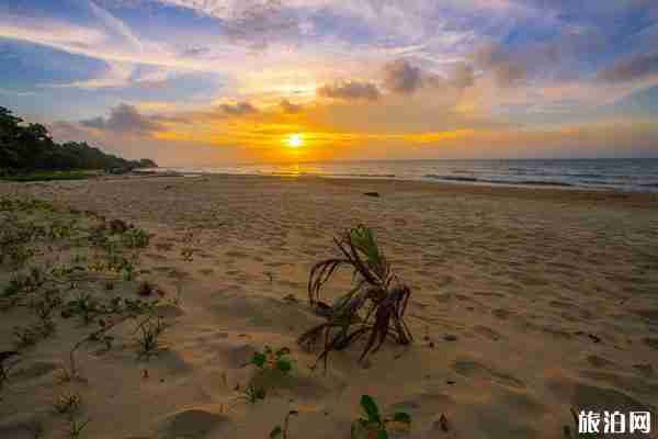鄖陽金沙灣門票多少錢+地址+景點(diǎn)
