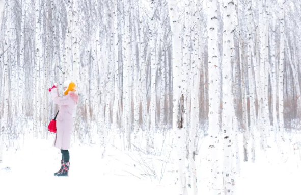 漠河景點推薦 漠河有哪些值得一去的景點