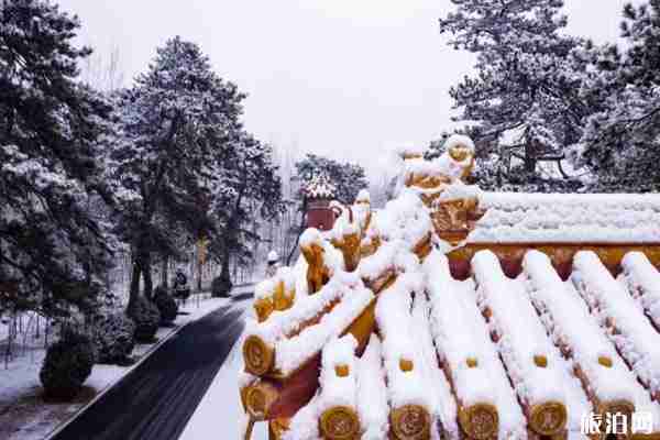 2020年元旦旅行地推薦 元旦應該去哪里旅游呢 2020年元旦旅行地推薦 元旦應該去哪里旅游呢