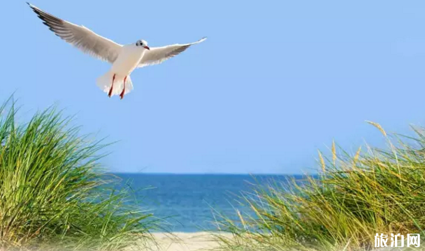 德國海灘推薦 德國有哪些最美的海灘