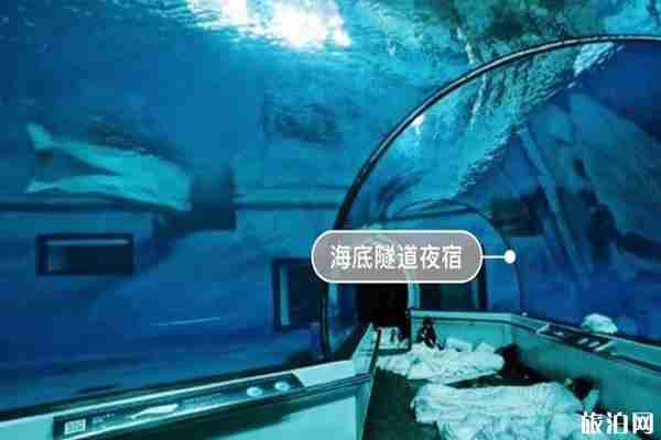 哪個海洋館可以搭帳篷夜宿