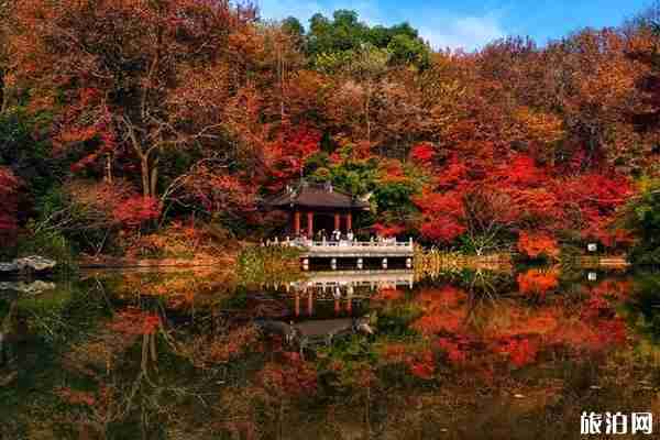 南京最佳旅游时间 南京风景好的地方 南京最佳旅游时间 南京风景好的地方