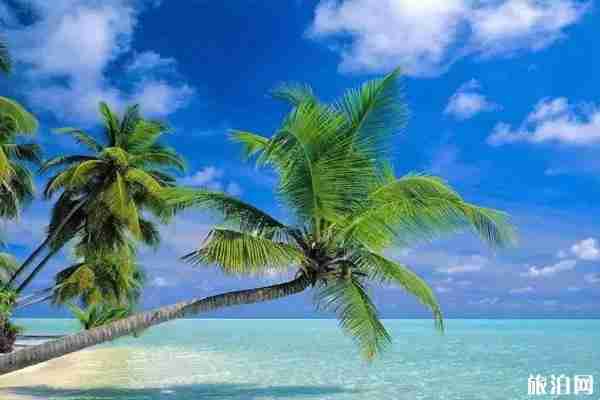 國內(nèi)避寒旅游勝地