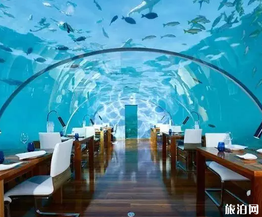 馬爾代夫島嶼推薦 馬爾代夫哪些島嶼適合度假 馬爾代夫島嶼推薦 馬爾代夫哪些島嶼適合度假