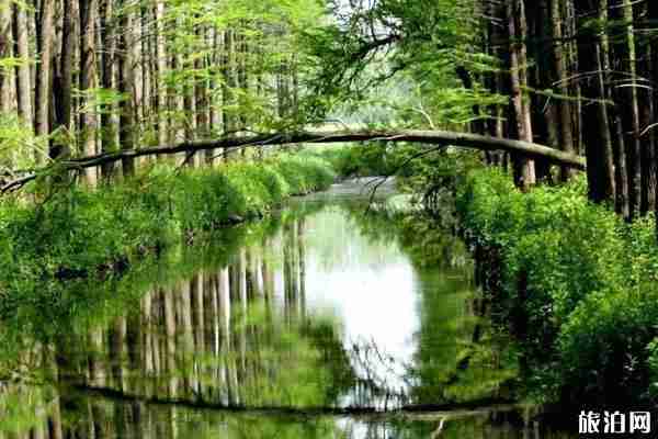 湖北鄂州有什么好玩的地方