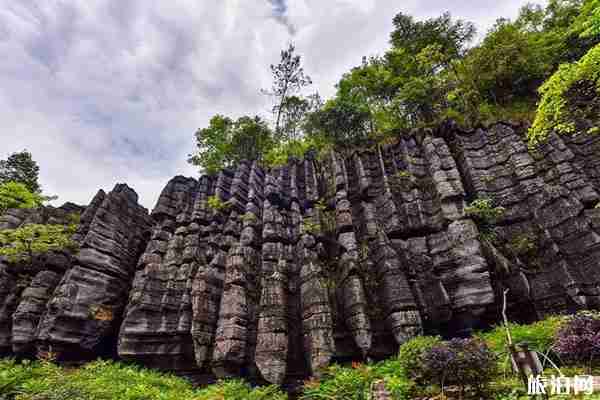 恩施梭布埡石林風景區門票價格 恩施梭布埡石林風景區門票價格