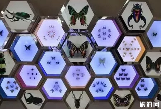 成都哪些博物館適合帶孩子一起去