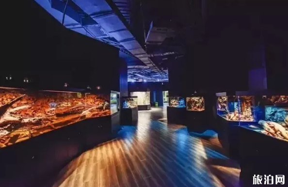 成都哪些博物館適合帶孩子一起去