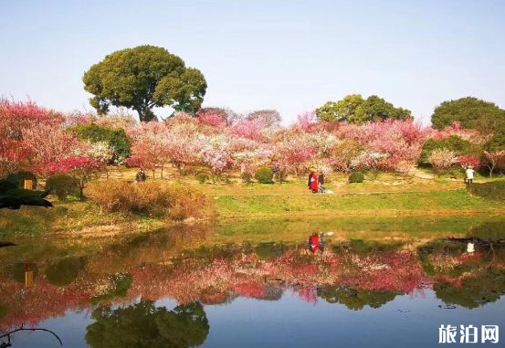 2020年江蘇元旦跨年應該去哪里