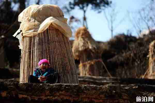 看看哪些地方適合鄉村旅游